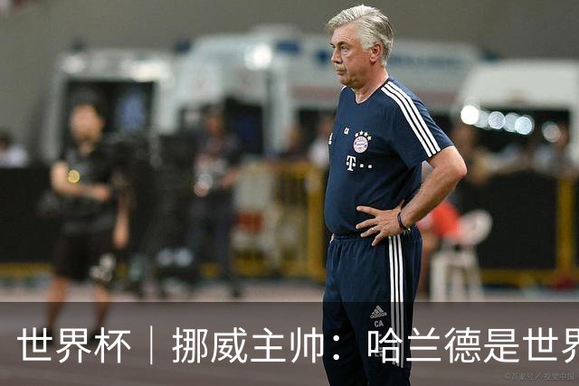 世界杯｜挪威主帅：哈兰德是世界上最好的射手
