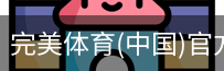 完美体育